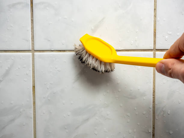 Best Toxic Mold Removal  in Fairland, MD