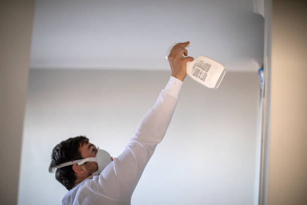 Best Office Mold Removal Services  in Fairland, MD