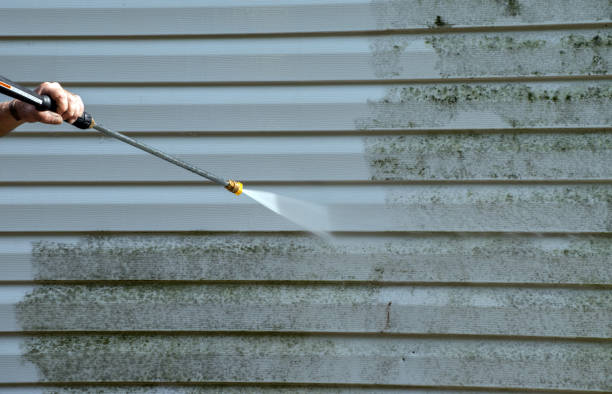 Best Mold Remediation Experts  in Fairland, MD