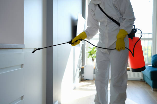 Best Local Mold Removal Service  in Fairland, MD