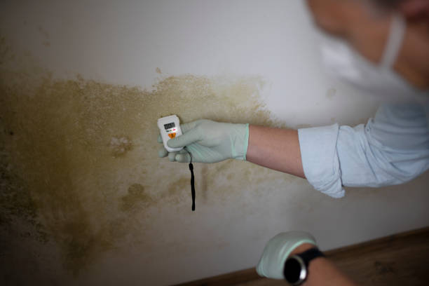 Water Damage Restoration in Fairland, MD