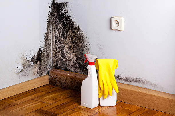 Best Crawl Space Mold Removal  in Fairland, MD