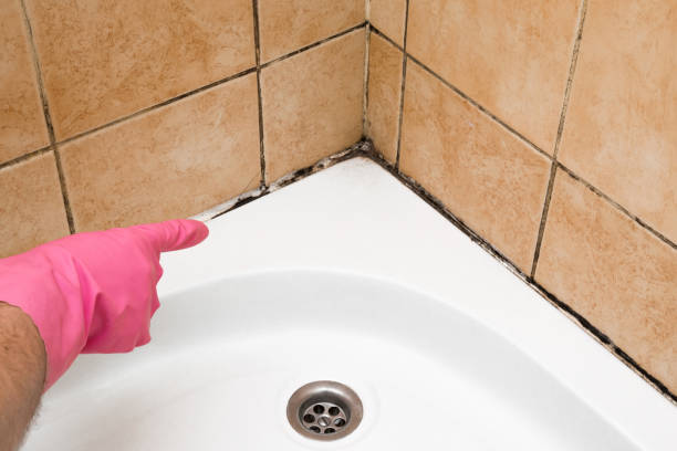Best Water Damage Restoration  in Fairland, MD